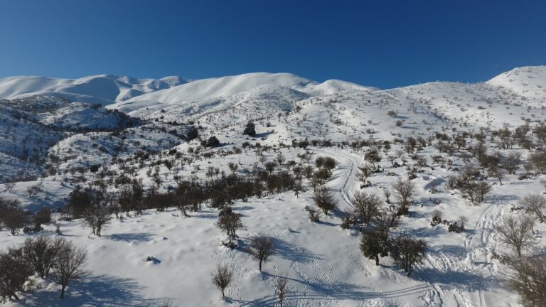 IMG-54b287445df89c5b1baeb4fc36d6d41f-V