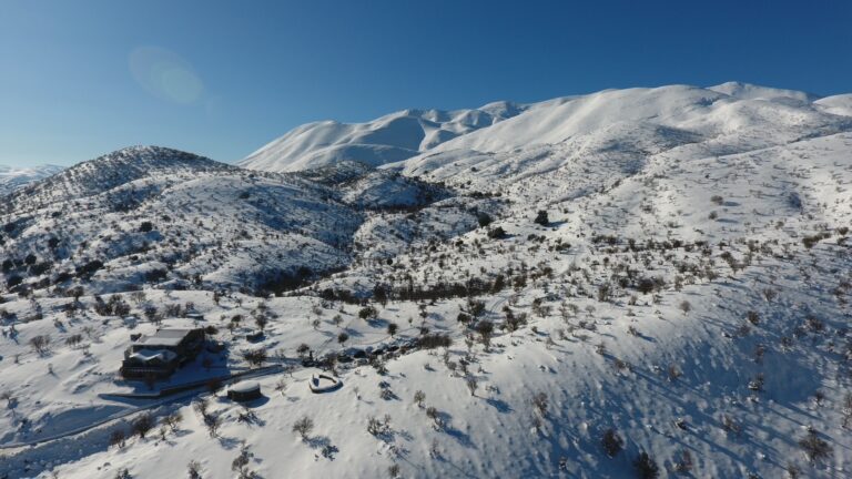 IMG-73067f20f1d767a05efe47ae5227d86b-V