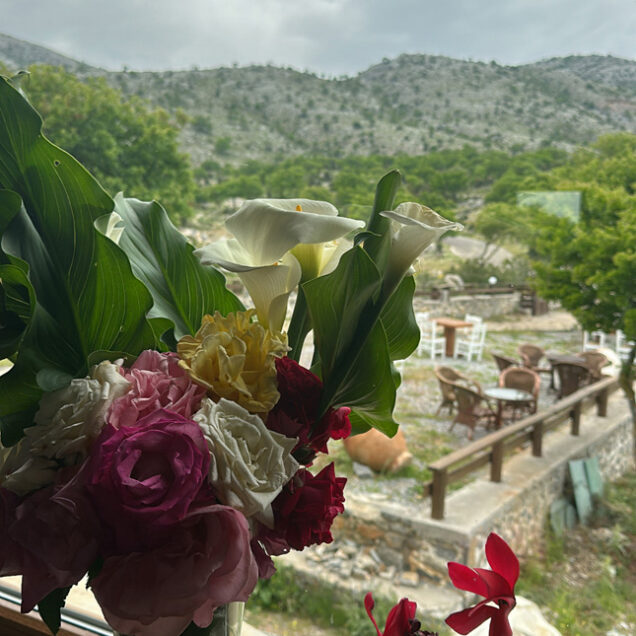 psiloritis-expericence-132